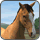My Horse