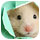 I Love Finding Critters - Collector's Edition