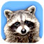 My Lovely Pets Collector's Edition