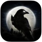 NIGHT CROWS