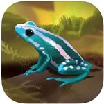 Pocket Frogs
