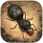The Ants: Underground Kingdom