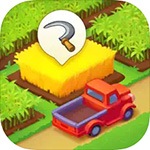 Township